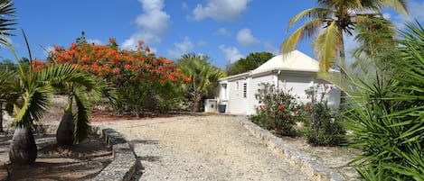 A white building with a sloped roof, surrounded by a gravel driveway and palm trees.