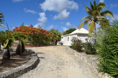 Guest-House In A Palmgrove For A Couple. Space, Privacy And Silence