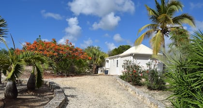 Guest-House In A Palmgrove For A Couple. Space, Privacy And Silence