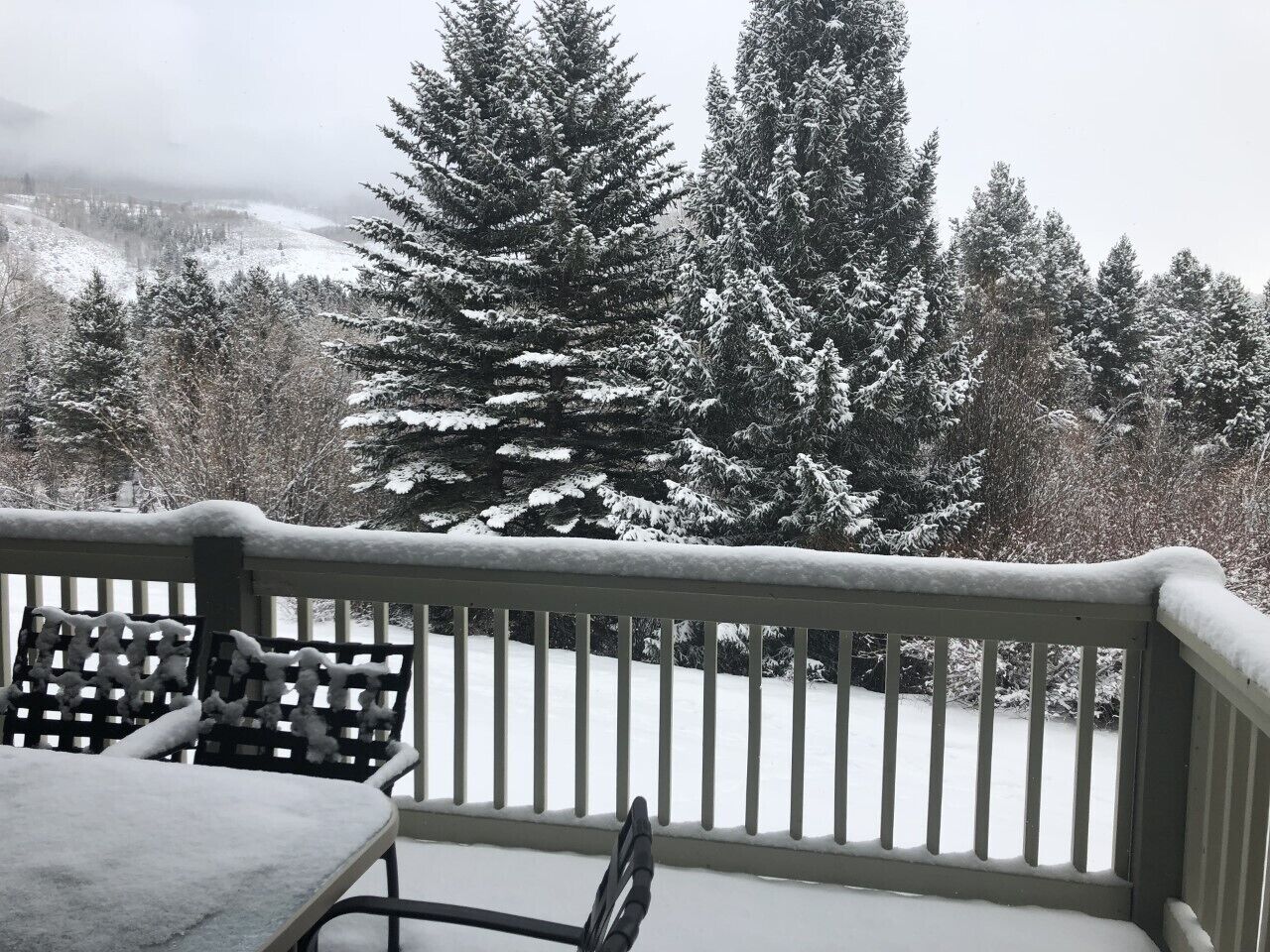 Un balcon offrant une vue sur des arbres couverts de neige et un paysage lointain.
