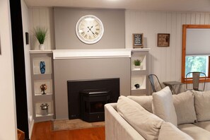 TV, fireplace, video game console, DVD player