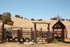 Parco della struttura