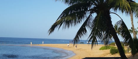 海灘、躺椅、沙灘巾