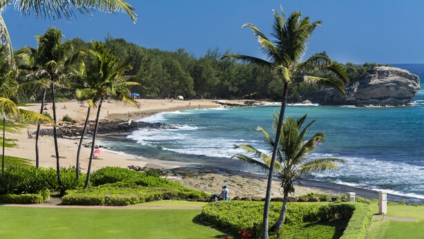 Un paisaje costero con una playa, palmeras y olas del océano.