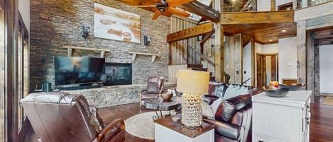 Televisión, chimenea y reproductor de DVD