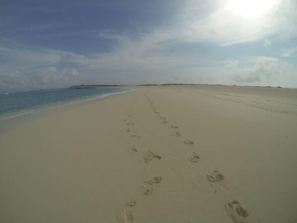 En la playa y toallas de playa