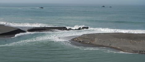 On the beach, sun-loungers, beach towels