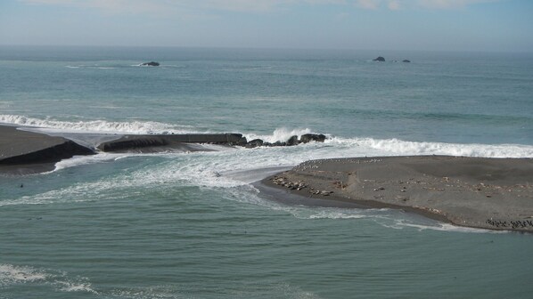 En la playa, camastros y toallas de playa 