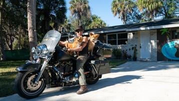 A man on a motorcycle with two dogs, parked in front of a house with a mural.