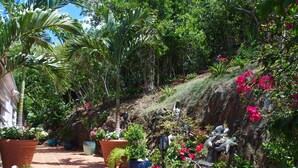 A garden with steps leading up a slope, surrounded by various potted plants and flowers. - Ocean View Villa & Cottage located 5 min Drivefrom Megans Bay with Cocktail Pool (St Thomas)