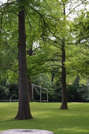 Property grounds