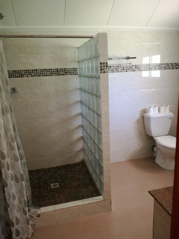 Un baño con ducha, inodoro y baldosas de suelo estampadas.