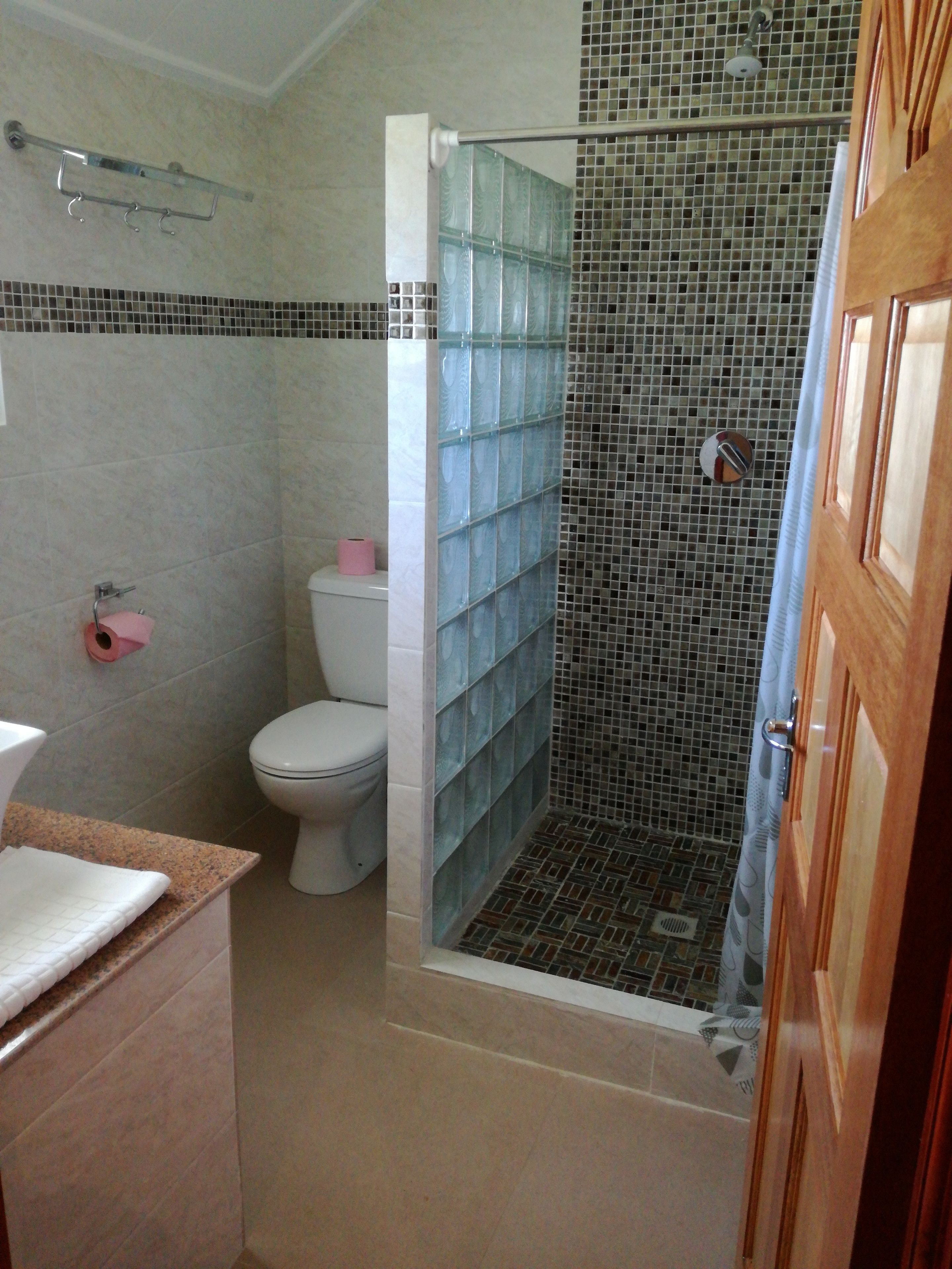 A bathroom with a toilet, a shower with mosaic tiles, and a towel rack.