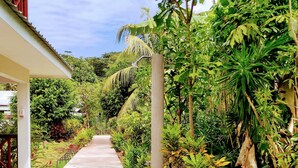 A concrete pathway leading to a building with a covered entrance and a lush garden with various plants and a palm tree. - Lucy's guesthouse (La Digue)