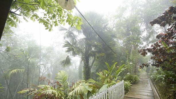 A pathway through a lush, green forest with a white picket fence on one side. - Bellevue The Penang Hill Hotel, Bukit Bendera (George Town)