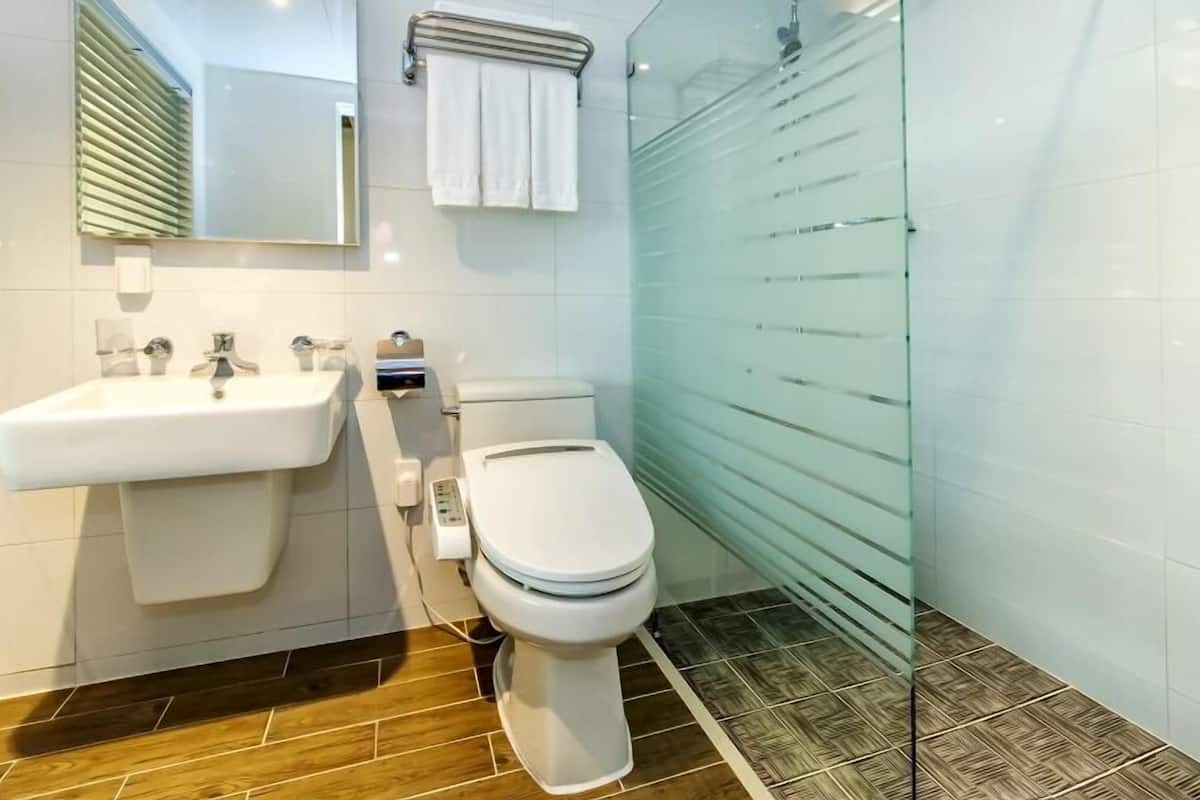 shower, free toiletries, hair dryer, towels