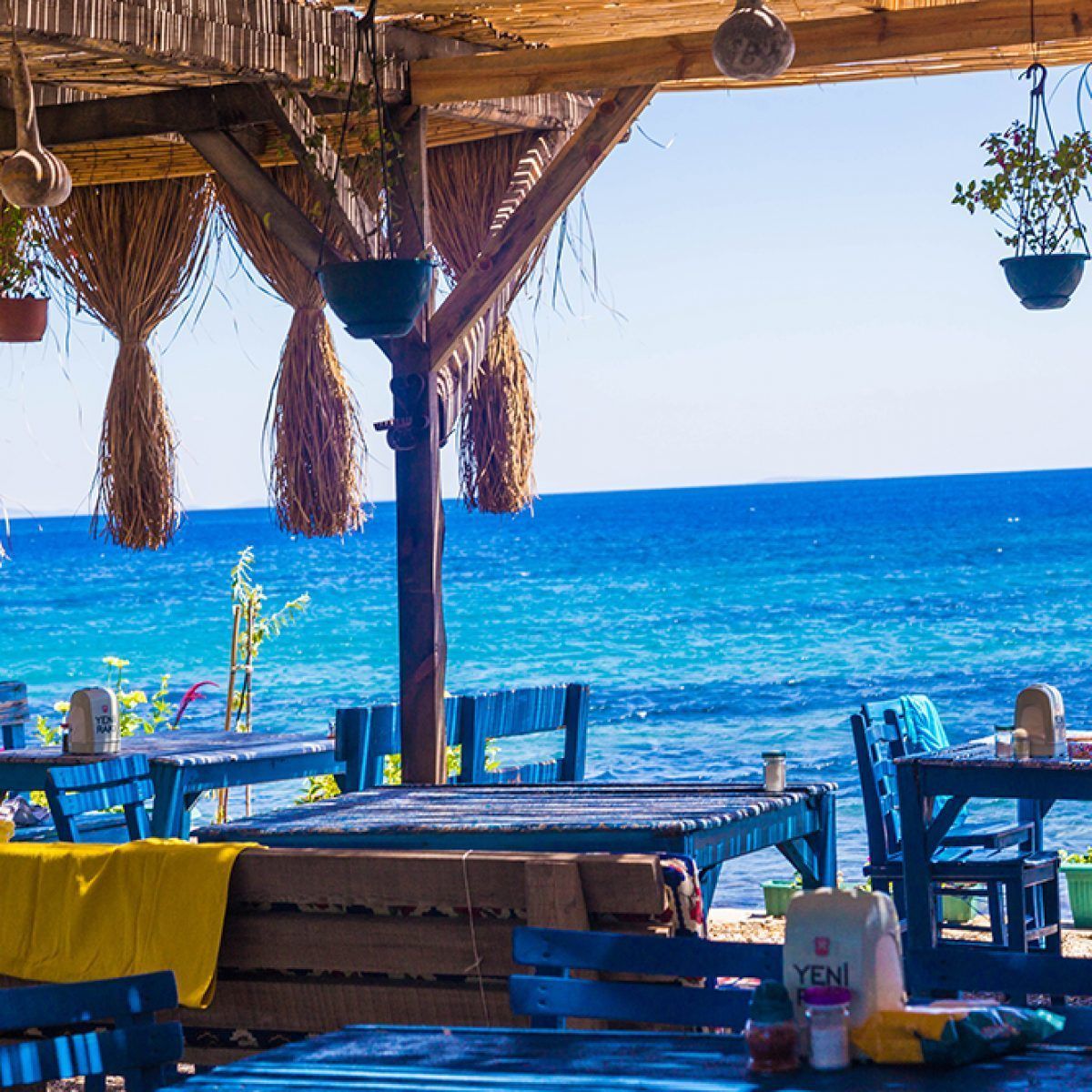 Se sirven desayunos, almuerzos y cenas; mariscos