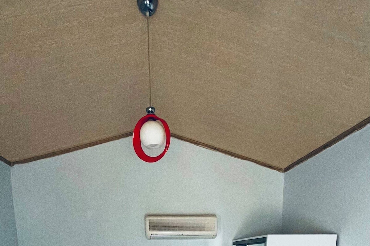 A room with two beds, a ceiling light fixture, a door, and a wall-mounted air conditioning unit.