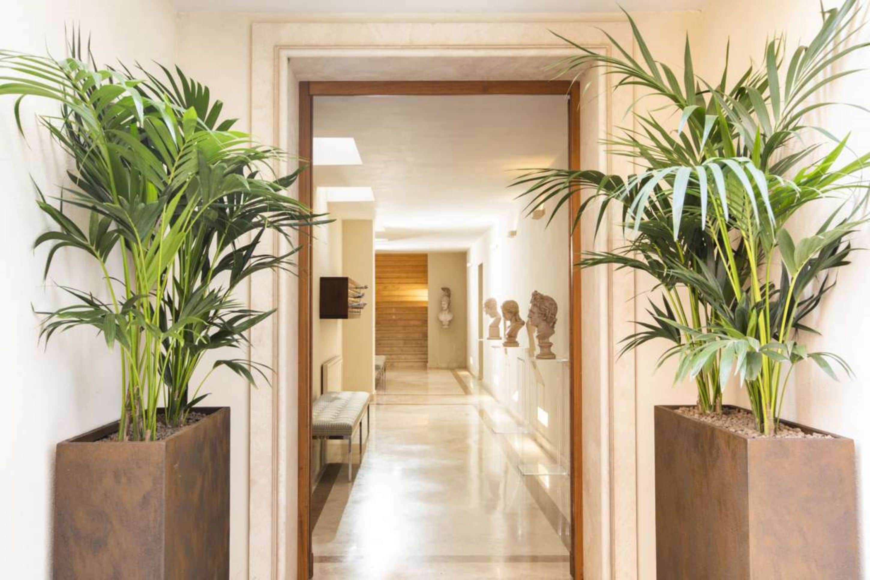 A hallway with two large potted plants on either side, leading to a room with a bench and a sculpture.
