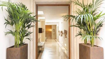 A hallway with two large potted plants on either side, leading to a room with a bench and a sculpture.