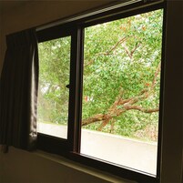 Business Double Room, 1 King Bed, Non Smoking | View from room