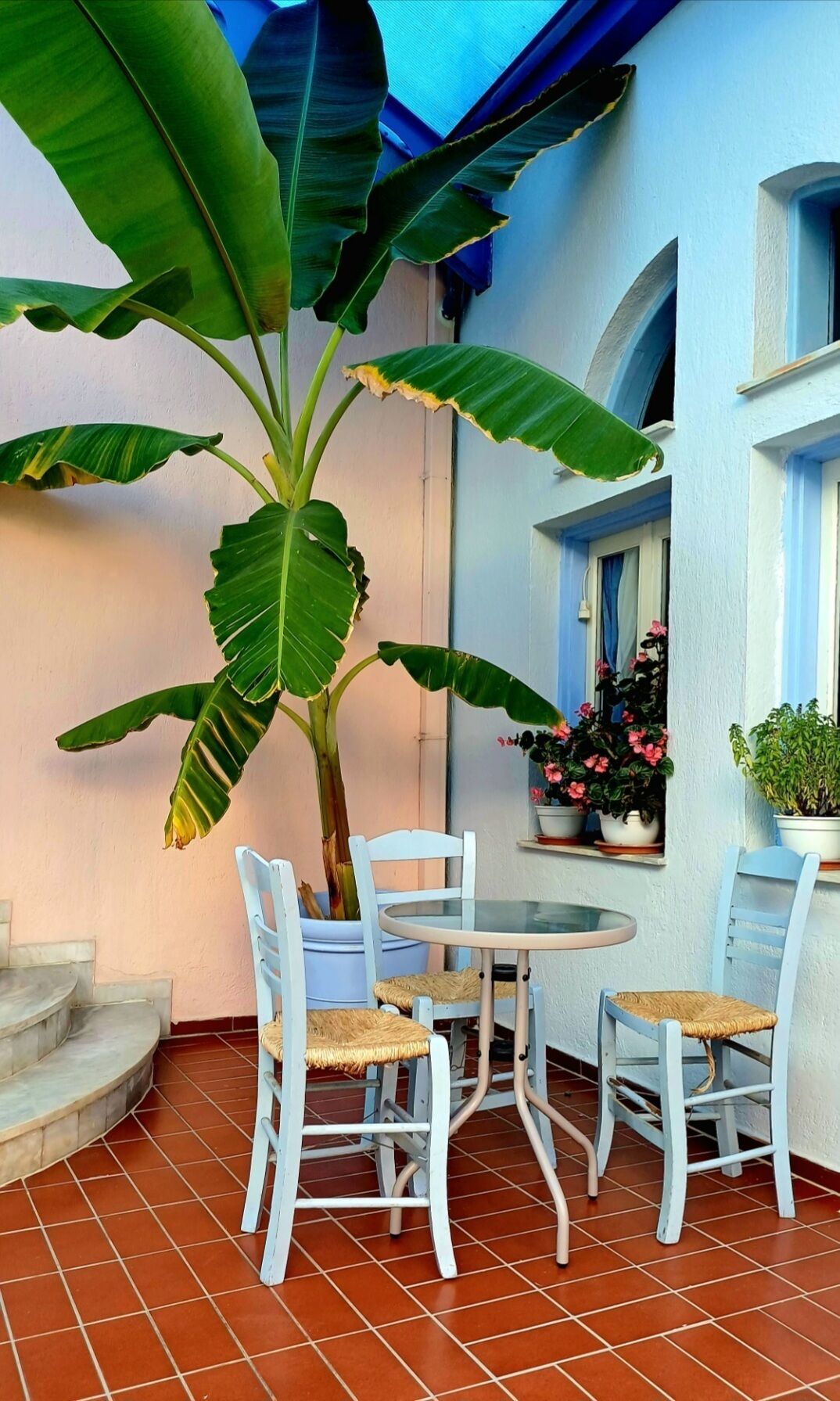 An outdoor patio with a round table and four chairs, surrounded by potted plants and a large banana plant.