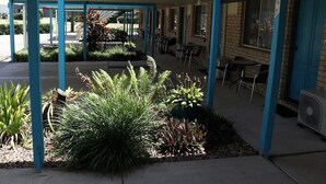 A covered outdoor seating area with blue columns, potted plants, and tables. - Kilcoy Gardens Motel (Kilcoy)