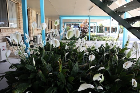 Garden. Kilcoy Gardens Motel