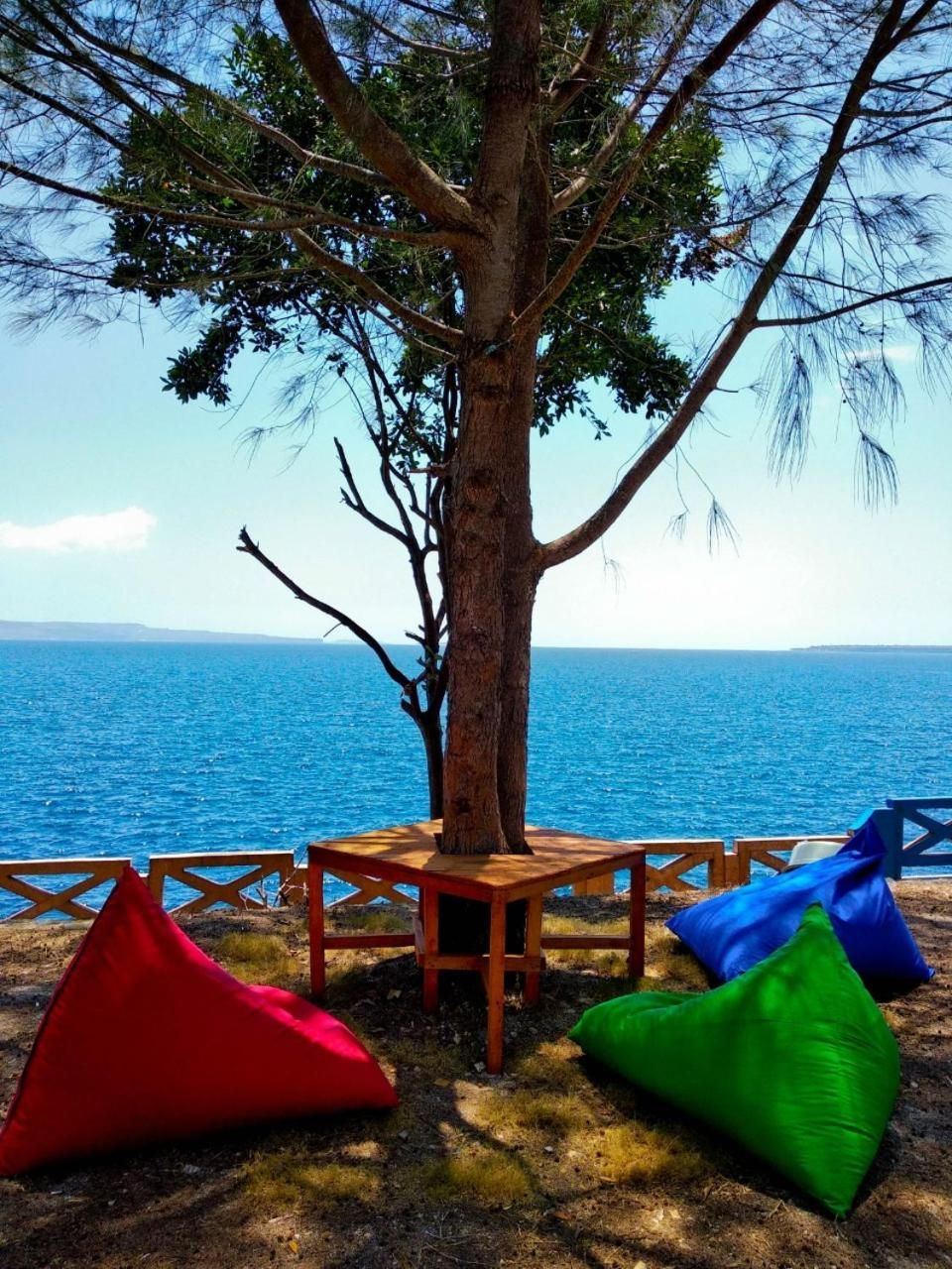 A tree with a view of the sea, a wooden table, and colorful bean bags.