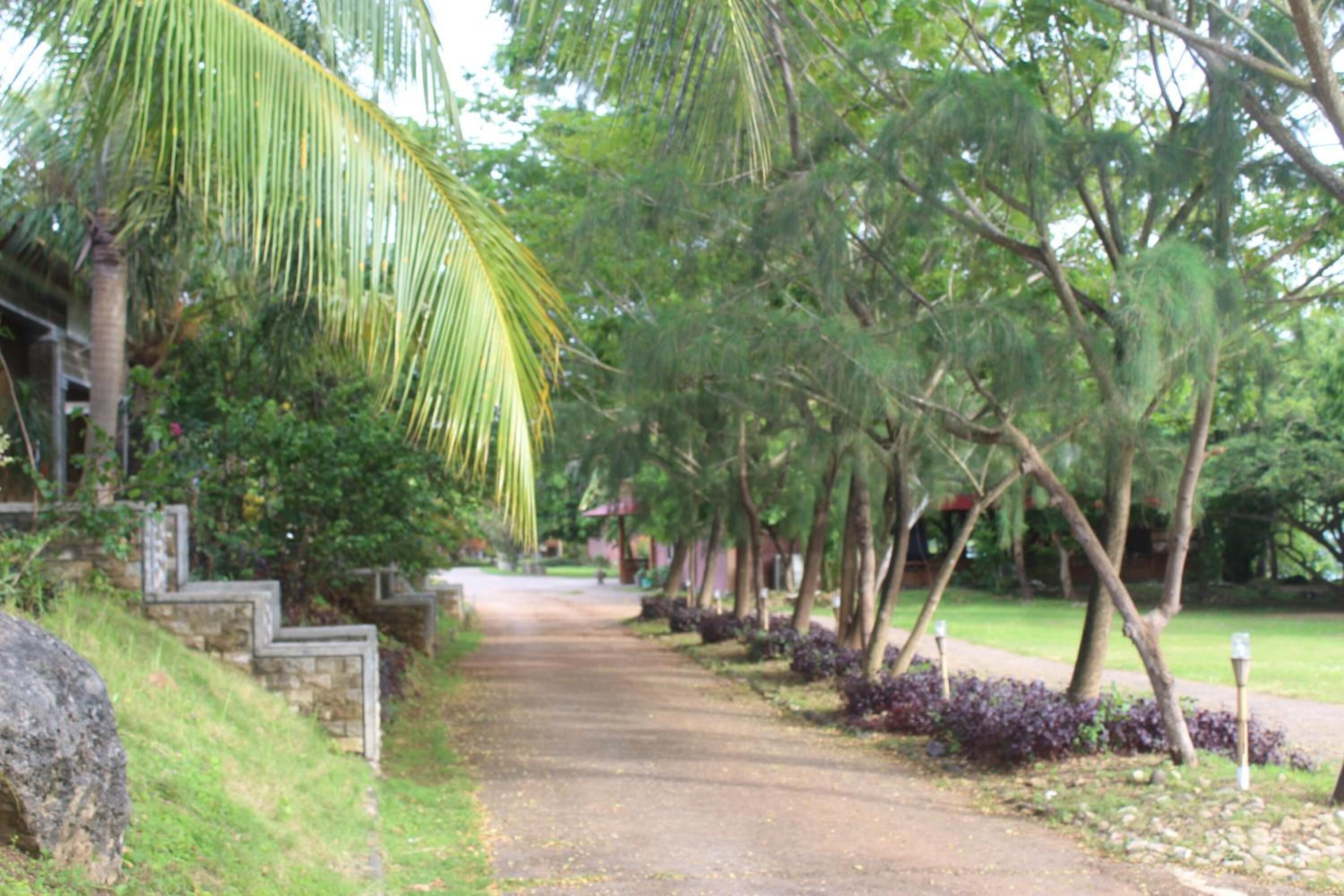 บริเวณที่พัก