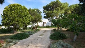 A gravel path leading to a building with an arched entrance, surrounded by various trees and shrubs. - Masseria Autigne (Otranto)