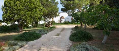 Lối vào nơi lưu trú