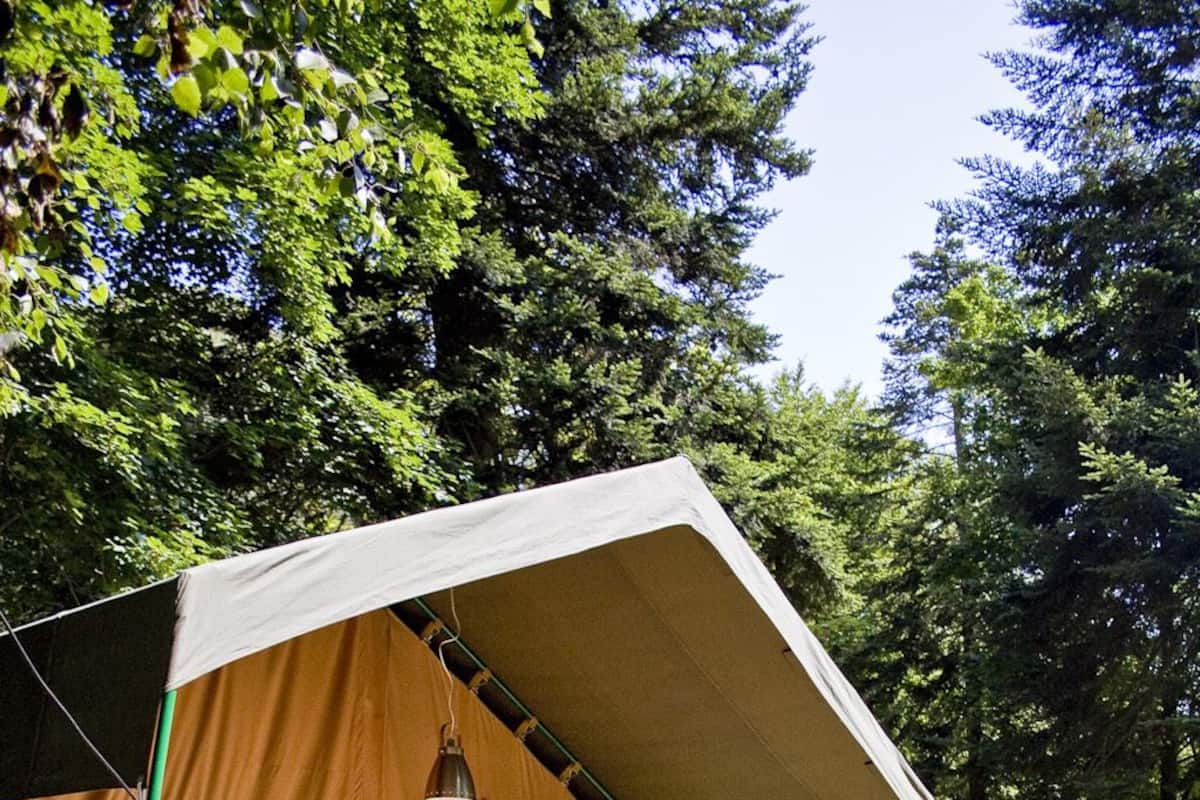 Una terraza de madera con estructura de tienda de campaña, rodeada de árboles.