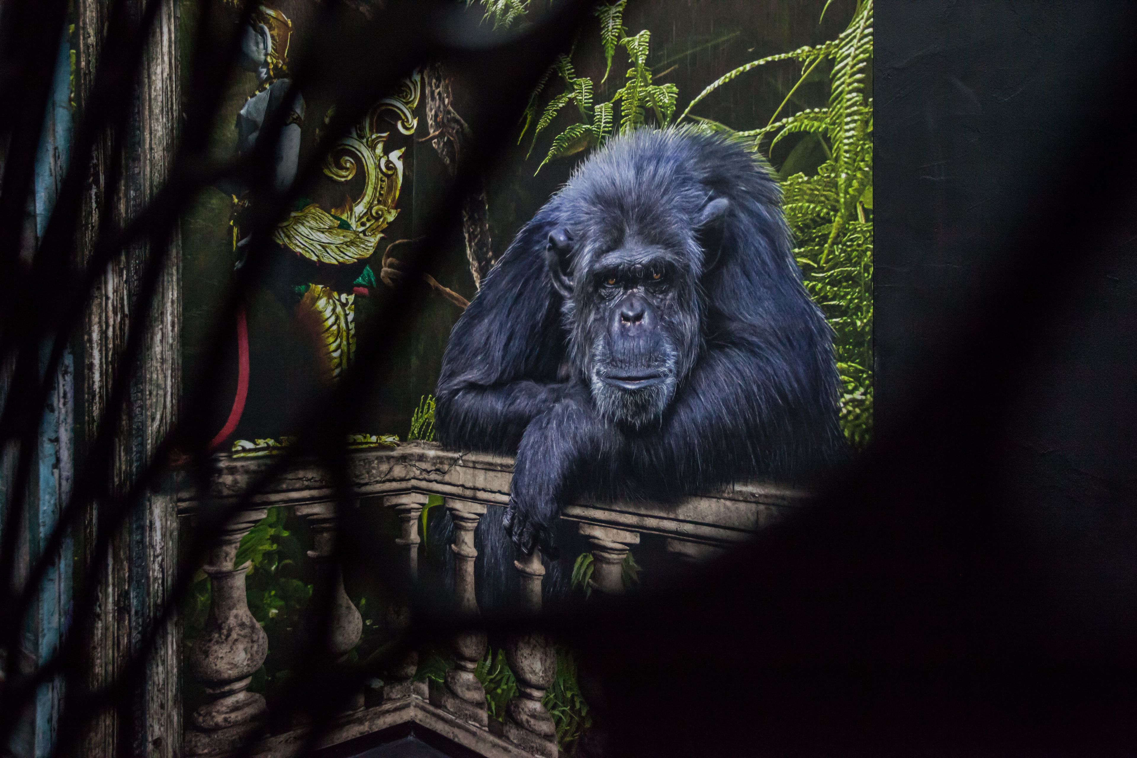 flat-screen tv, tablet