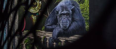 A gorilla sitting on a stone bench surrounded by lush greenery.