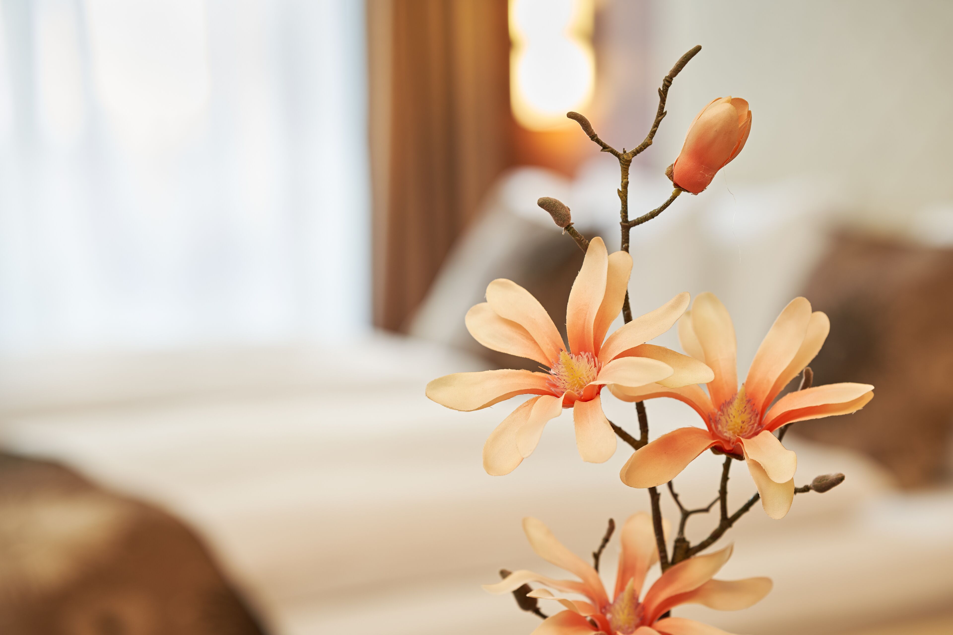 Primer plano de un arreglo floral sobre un fondo desenfocado de una habitación.