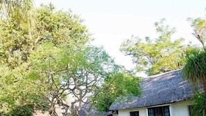 A thatched-roof building with a well-maintained lawn and trees. - Lalapanzi Hotel and Conference Centre (Louis Trichardt)