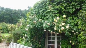 A garden with a white bench, a wooden planter, and a window surrounded by lush green ivy and blooming flowers. - Les Sapins (Vitry-aux-Loges)