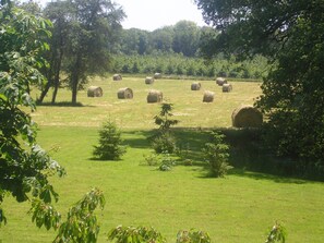 Property grounds - Les Sapins (Vitry-aux-Loges)