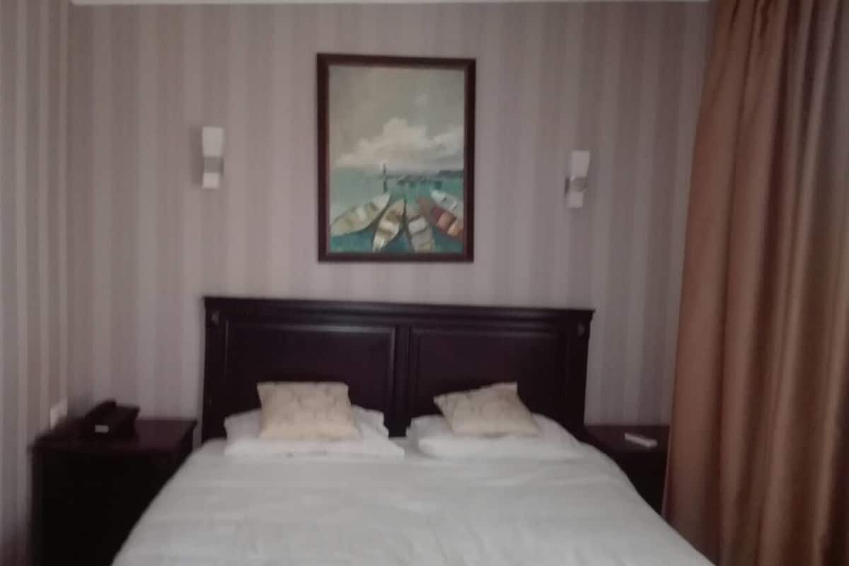 Habitación doble estándar, 1 cama King size, para no fumadores, vista al jardín | Ropa de cama de alta calidad, escritorio y cortinas blackout