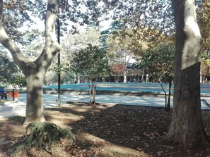 Property grounds