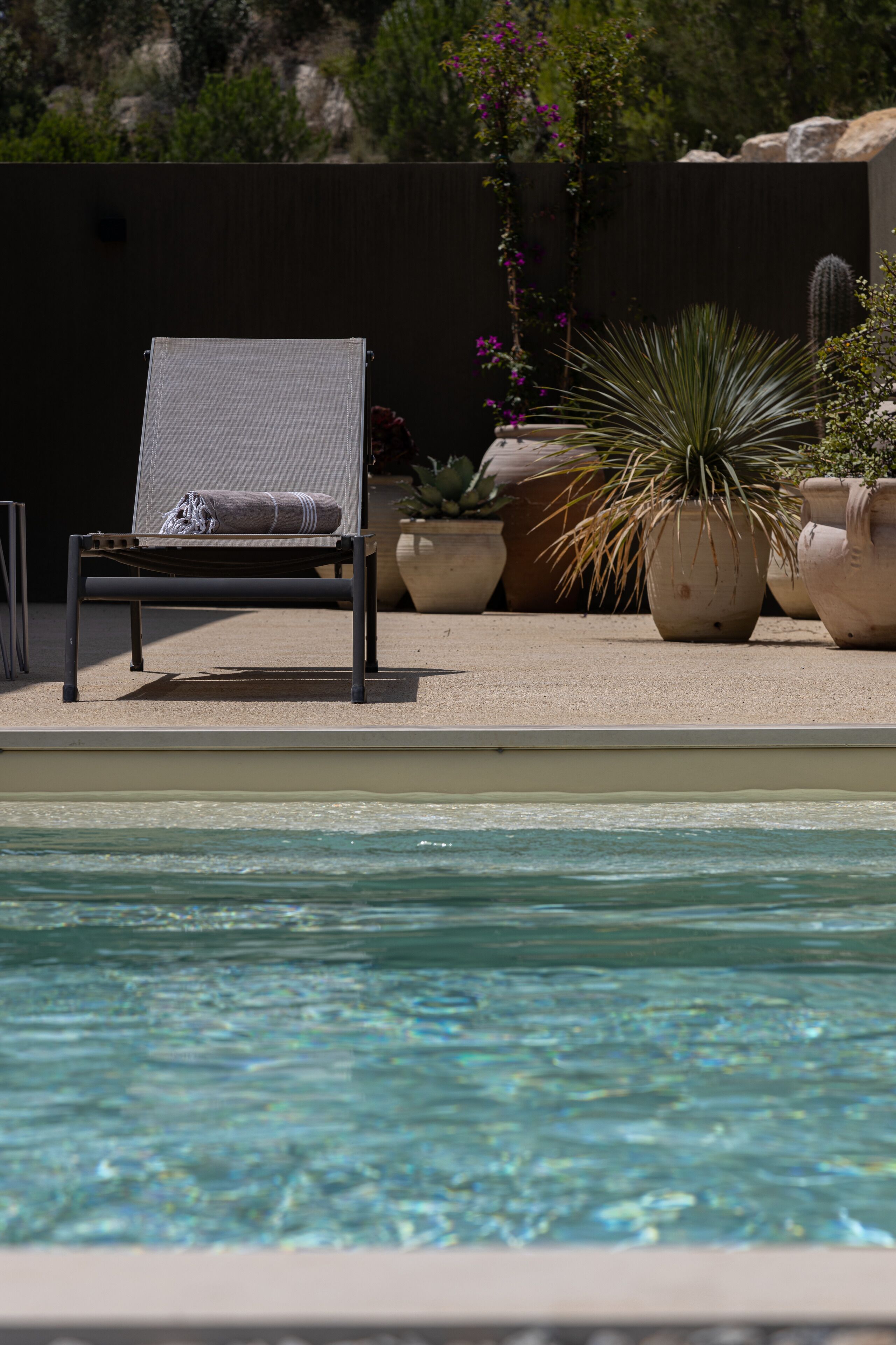 A poolside area with a lounge chair, potted plants, and a cactus.