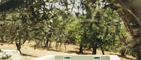 Exclusive Suite, Private Pool, Sea View | Kolam renang persendirian