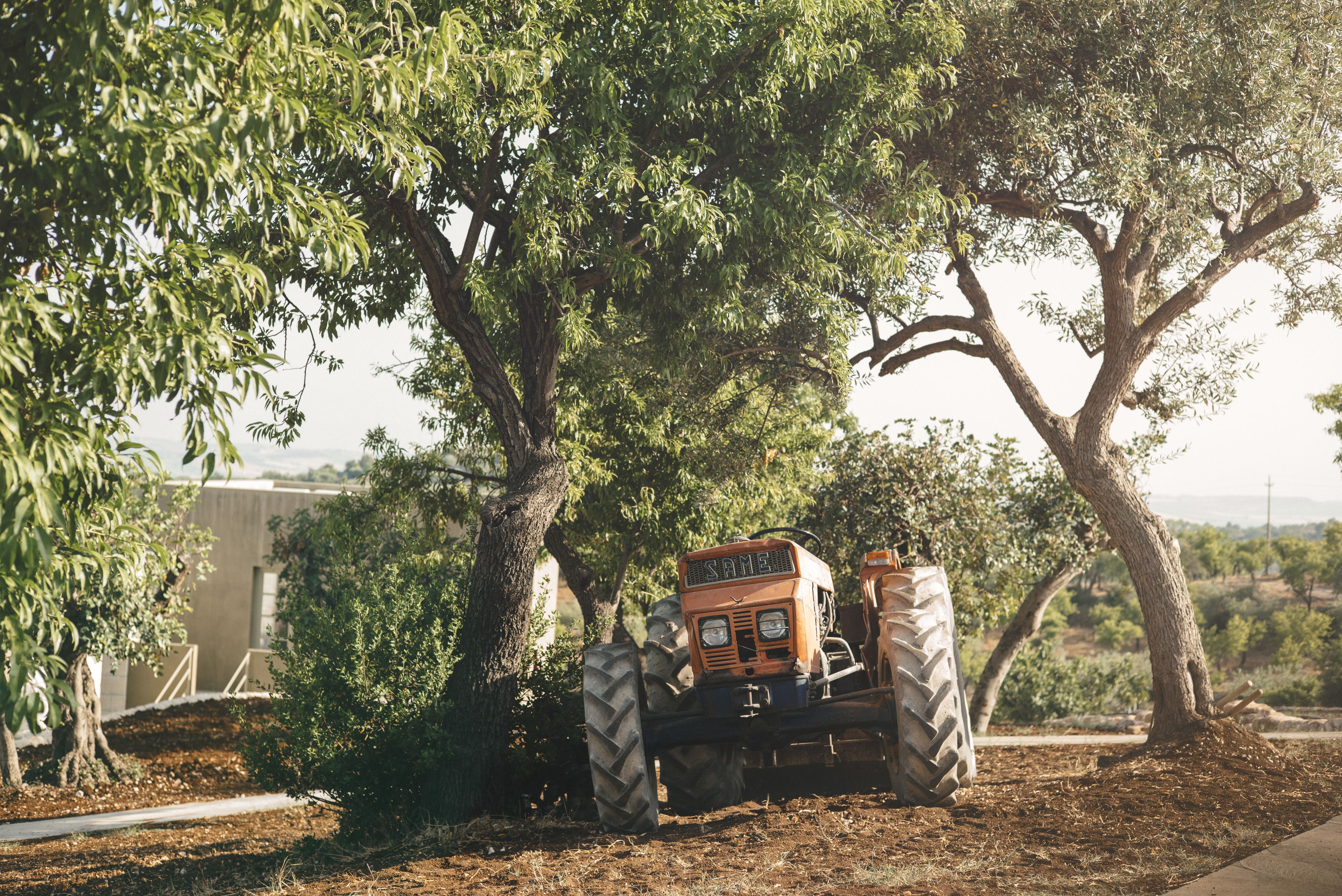 A vintage tractor parked under a tree.