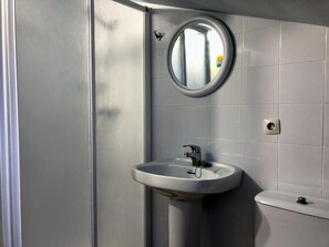 A bathroom with a sink, mirror, and toilet.