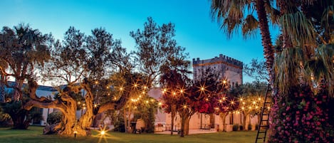 Um pátio com árvores, uma palmeira e luzes de Natal.