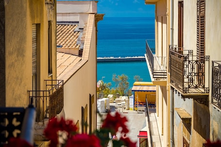 Vista desde la propiedad