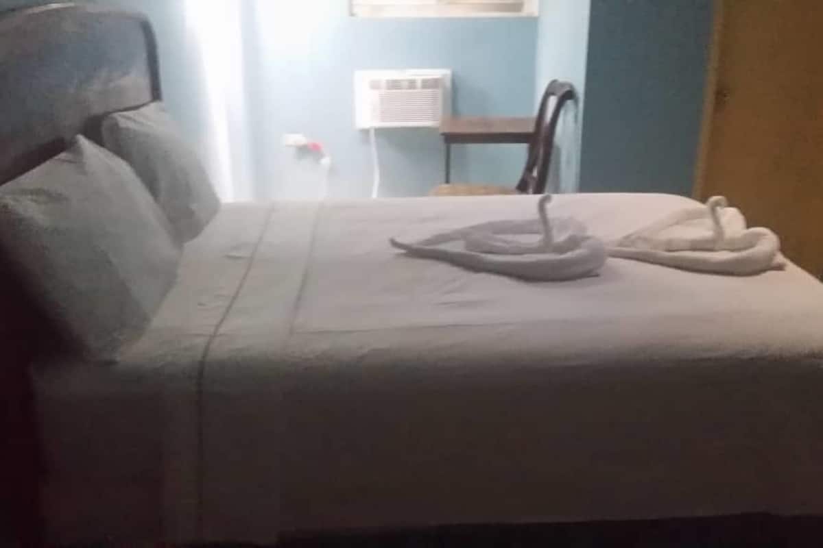 basic double room, 1 queen bed, non smoking | bed sheets