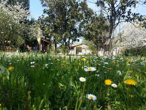 Jardines del alojamiento