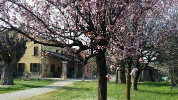 Área da propriedade